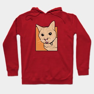 Orange cat got flu Hoodie